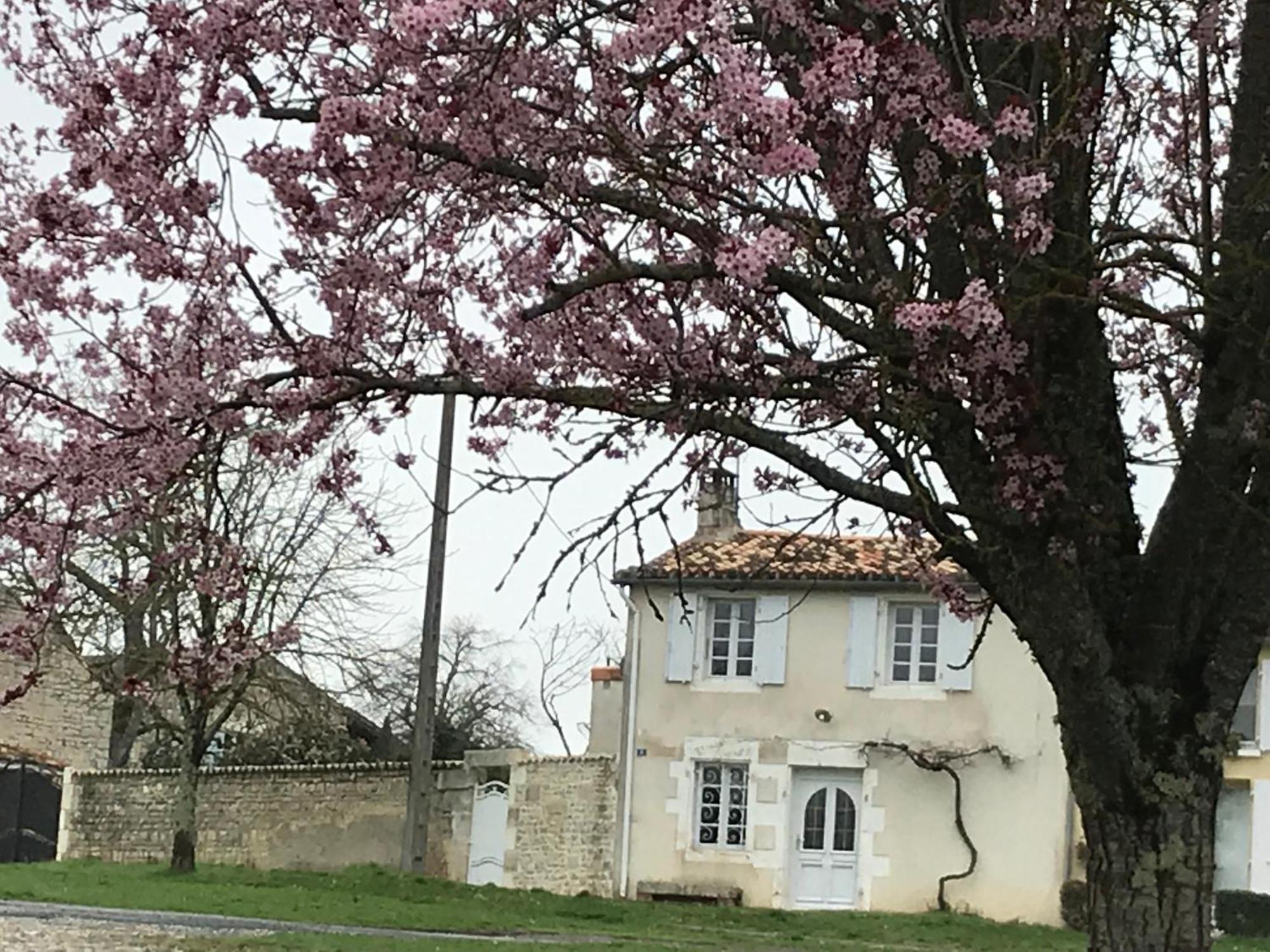 La Maison De Josephine Montignac-Charente Buitenkant foto